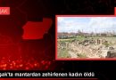 Uşak’ta Mantardan Zehirlenen Kadın Hayatını Kaybetti